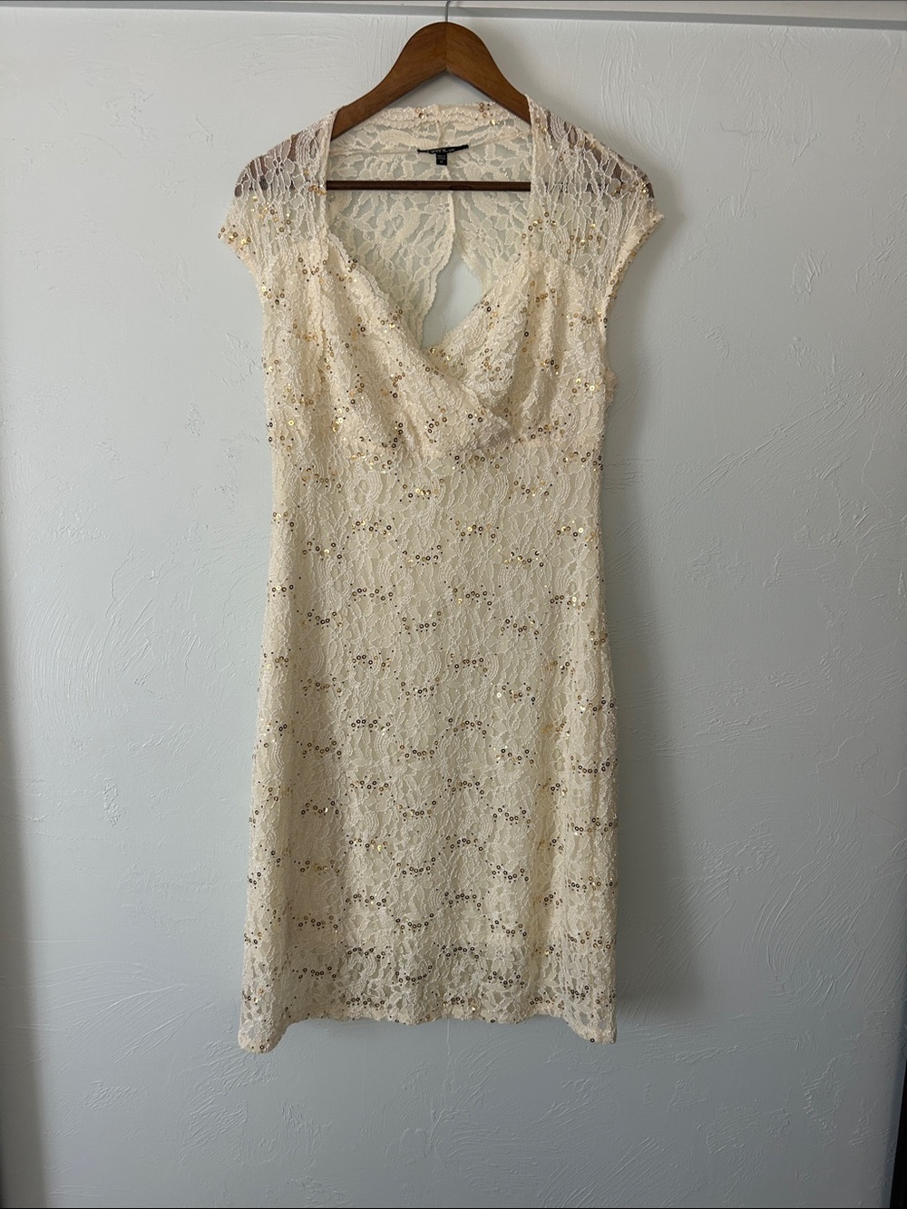 Onyx Nite Cream Lace Midi Dress with Sequined Overlay